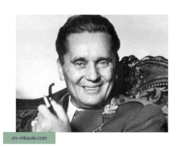 南斯拉夫三中场传奇人物盘点 南斯拉夫三中场传奇人物盘点